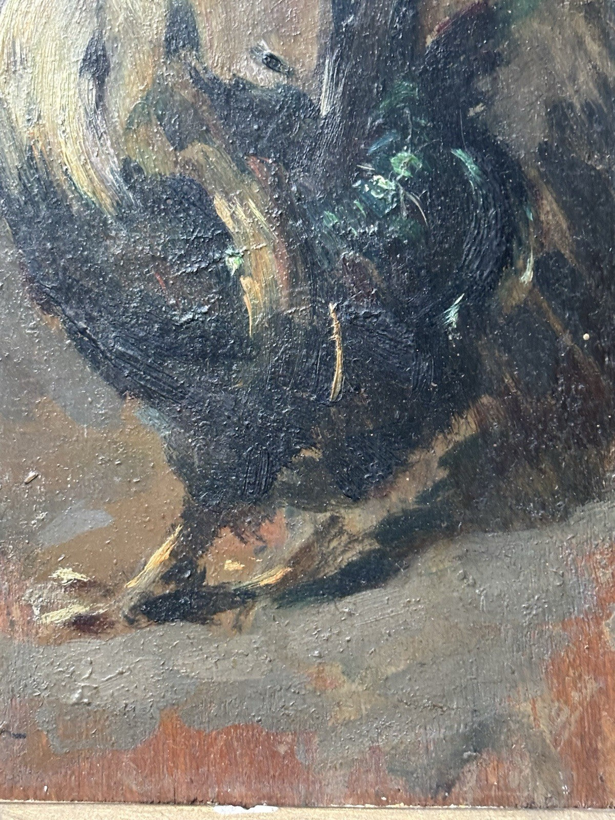 Quadro antico -Gallo- Giuseppe Uva dipinto a olio su tavoletta