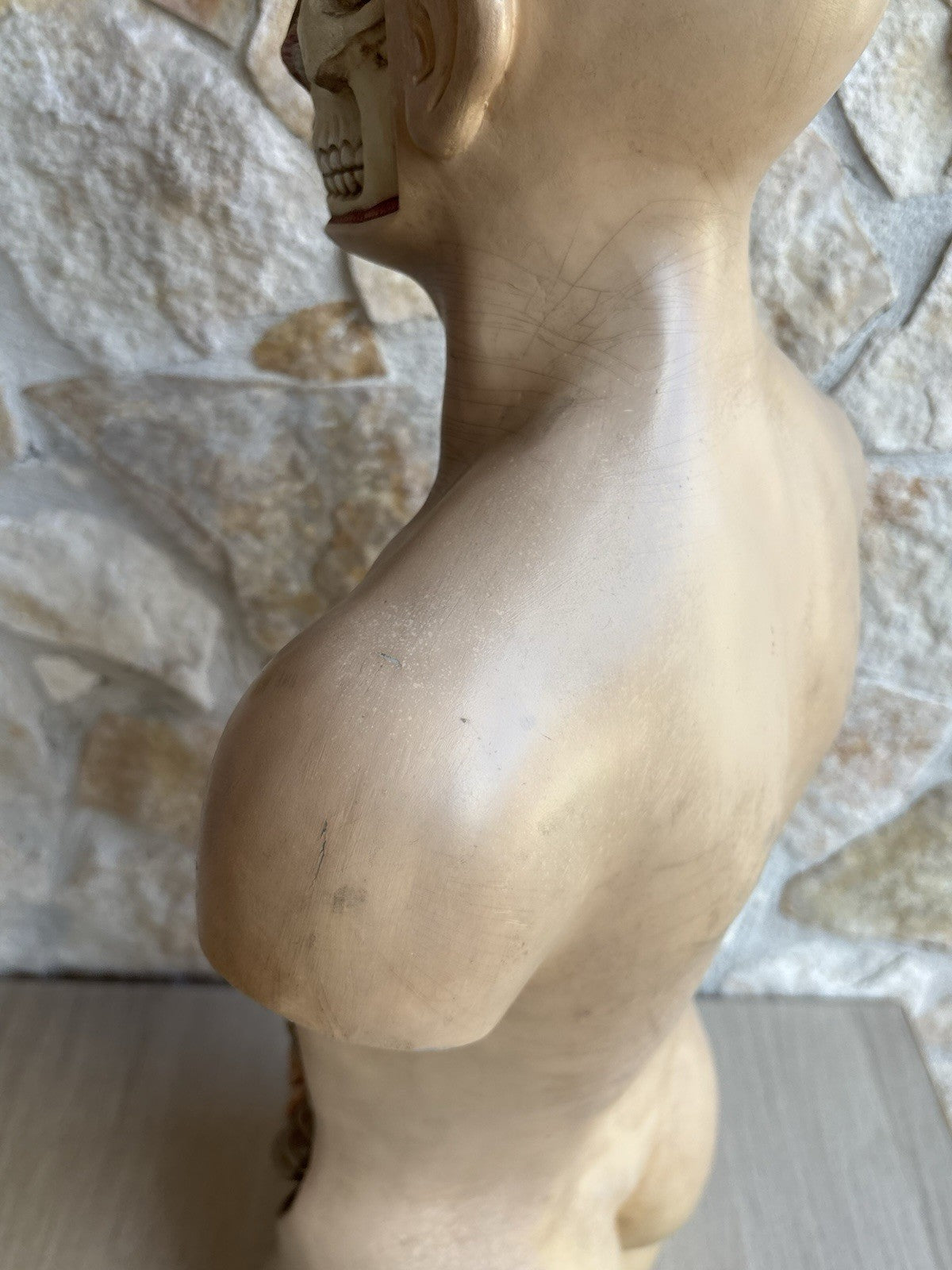 Modello Didattico Scientifico Busto Paravia