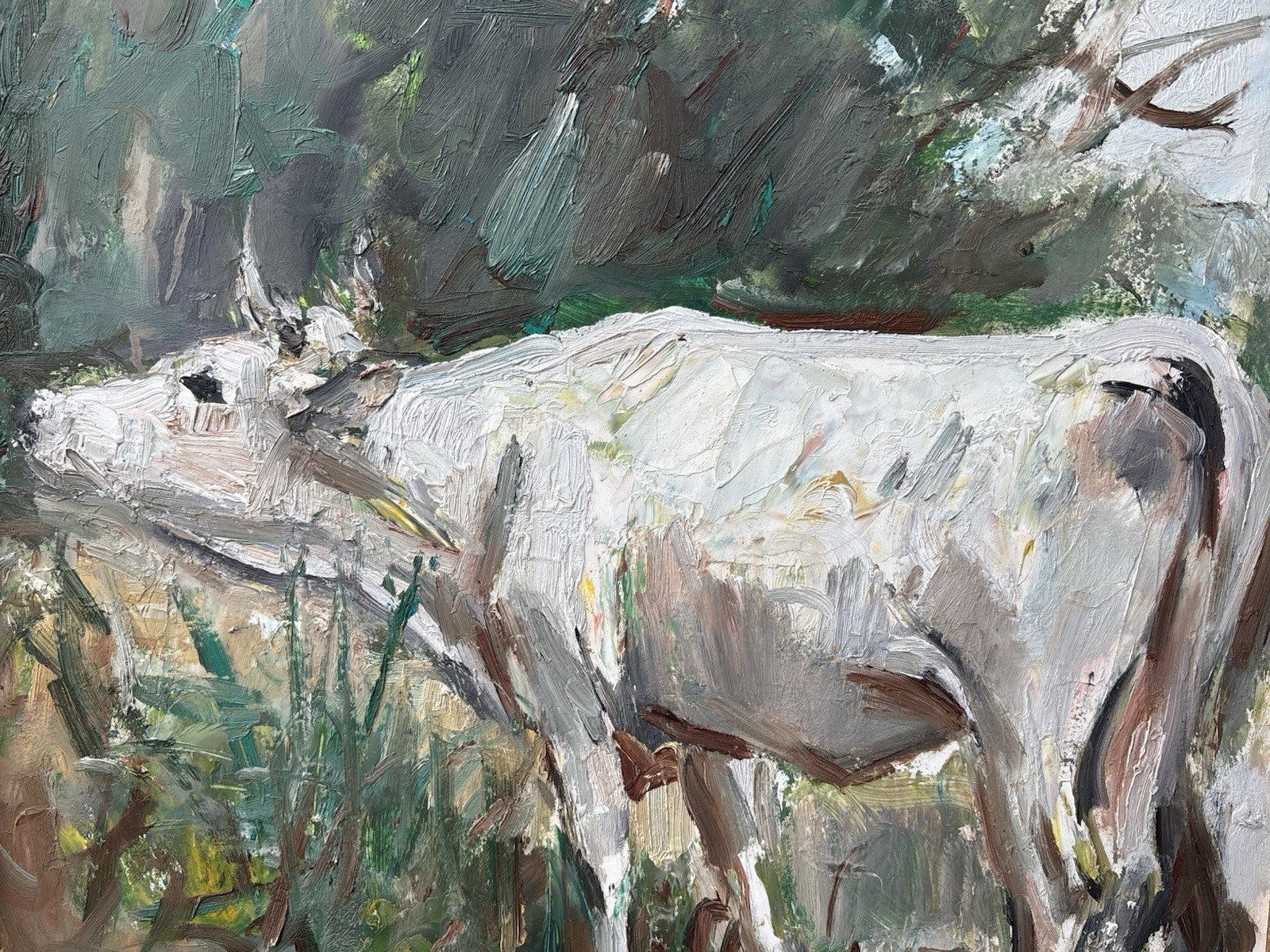 Quadro -Paesaggio Con Toro- Carlo Verdecchia dipinto a olio