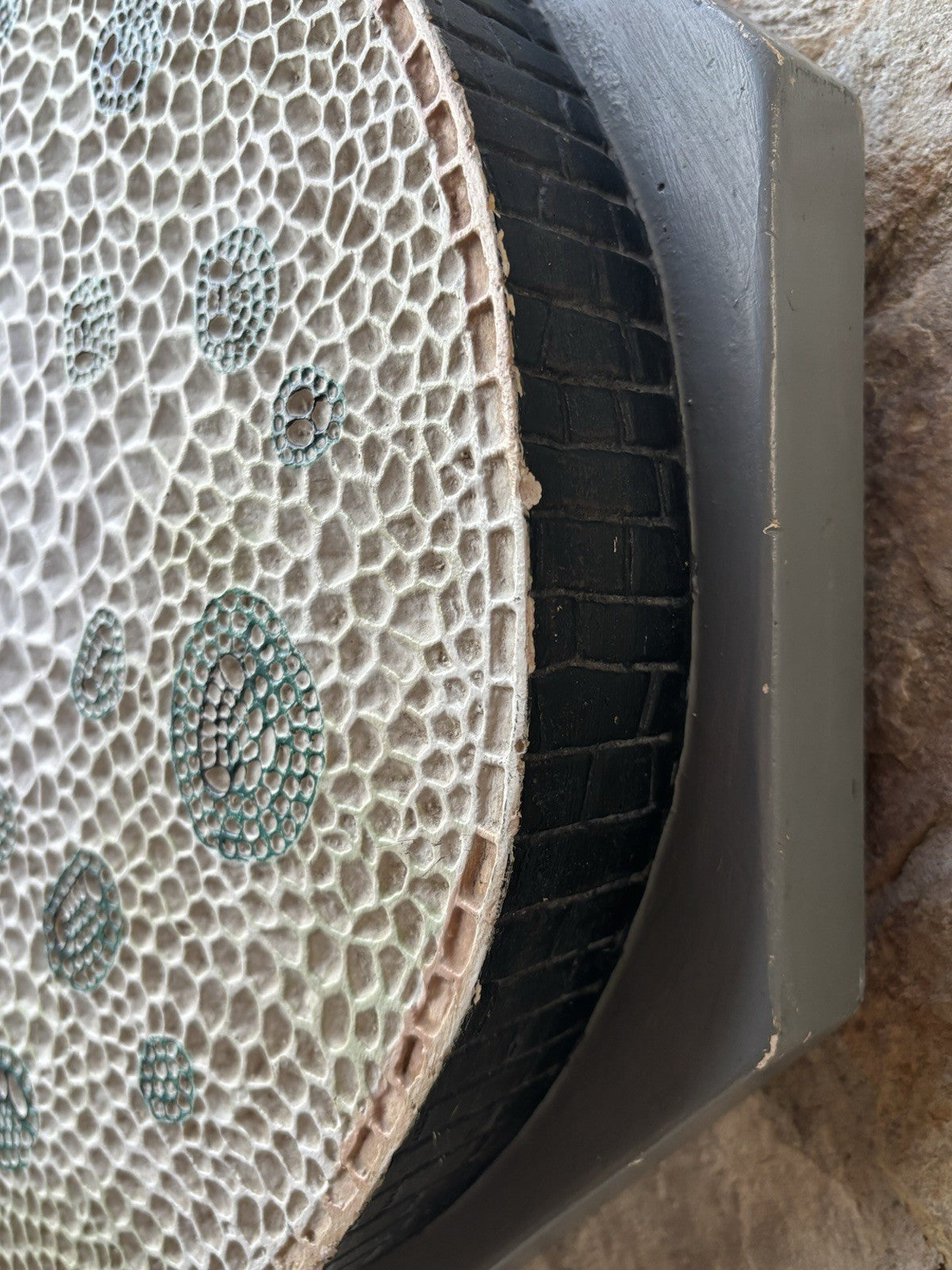 Modello Didattico/Botanico Vintage, Amedeo Fumeo Milano-