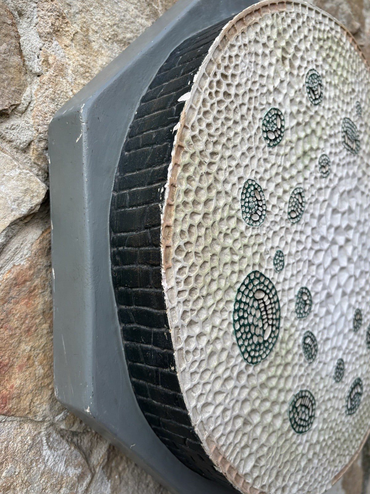 Modello Didattico/Botanico Vintage, Amedeo Fumeo Milano-