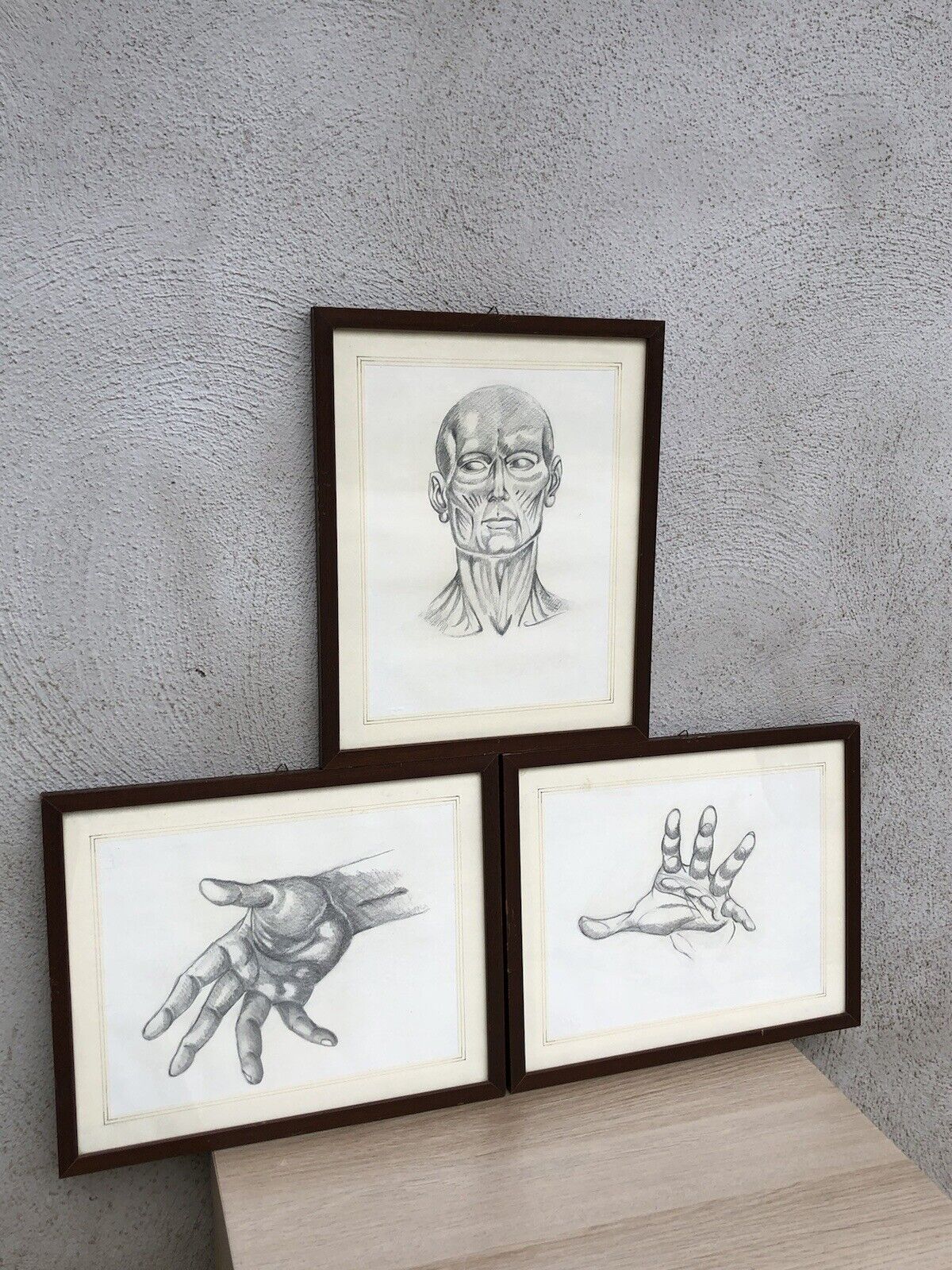 Quadri Vintage Con Disegni Anatomici