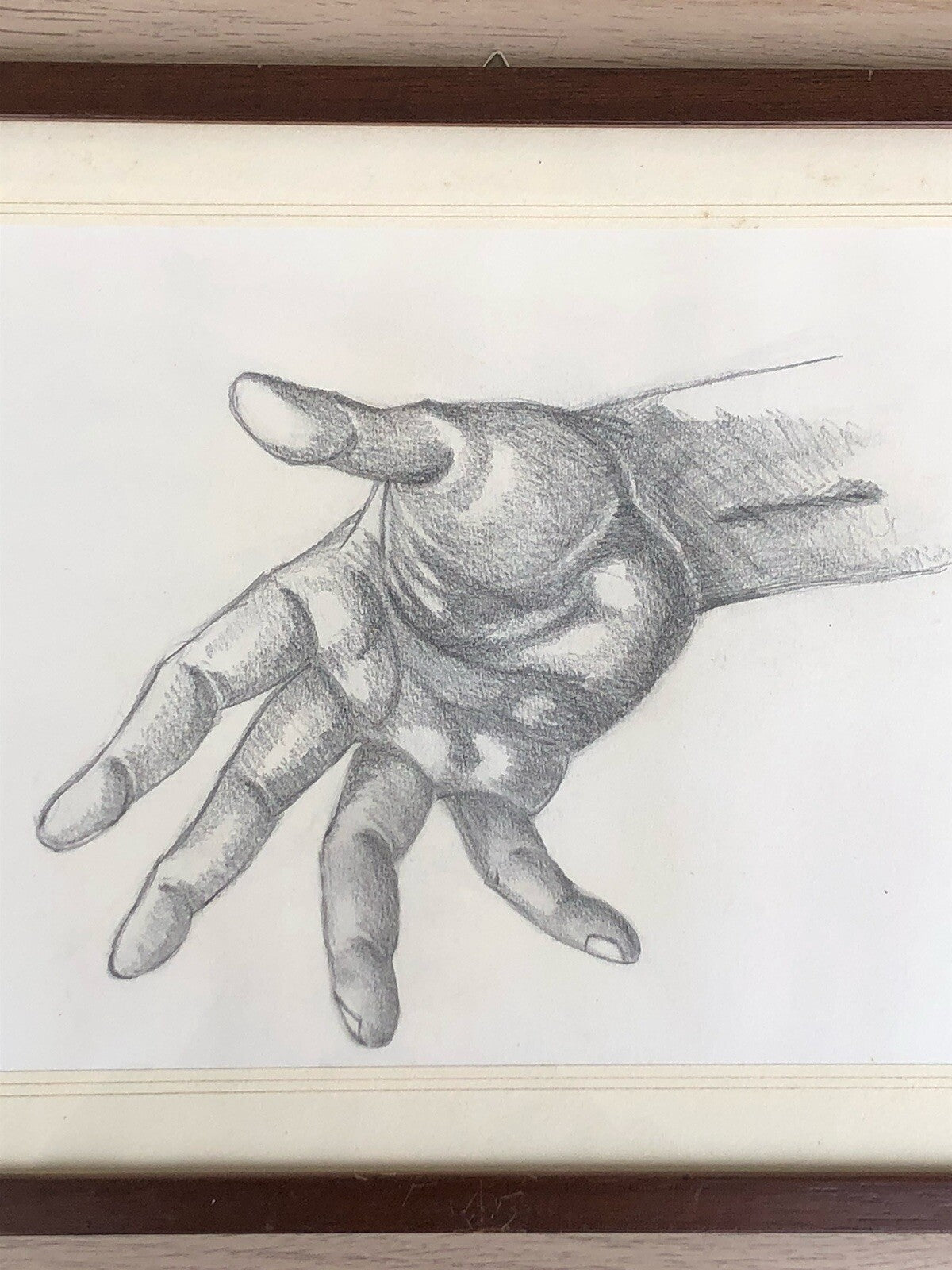 Quadri Vintage Con Disegni Anatomici