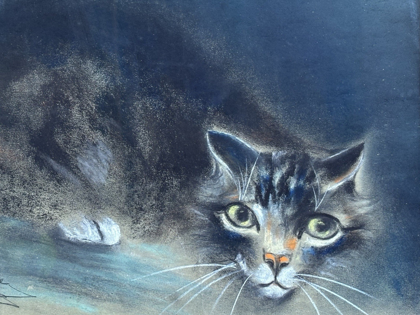 Quadro antico -Gatto- Andrea Pilone realizzato a pastello su carta
