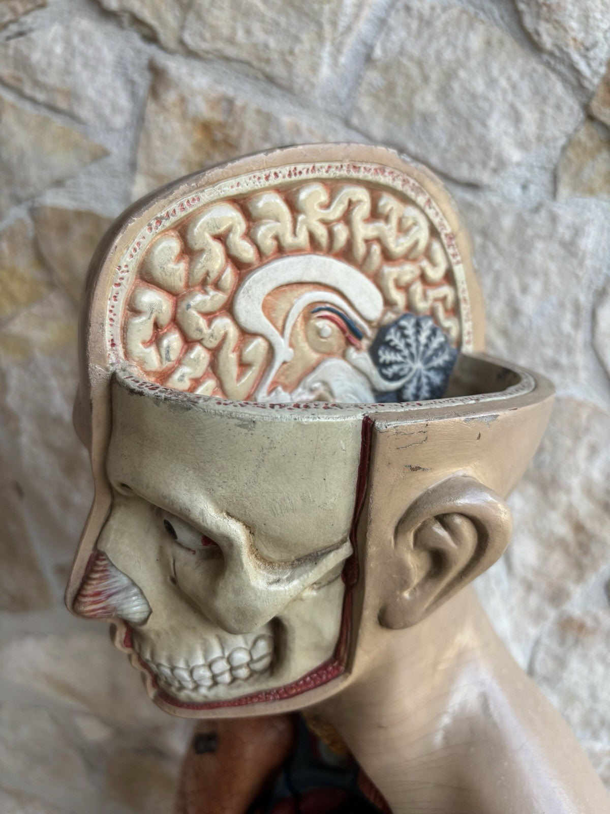 Modello Didattico Scientifico Busto Paravia