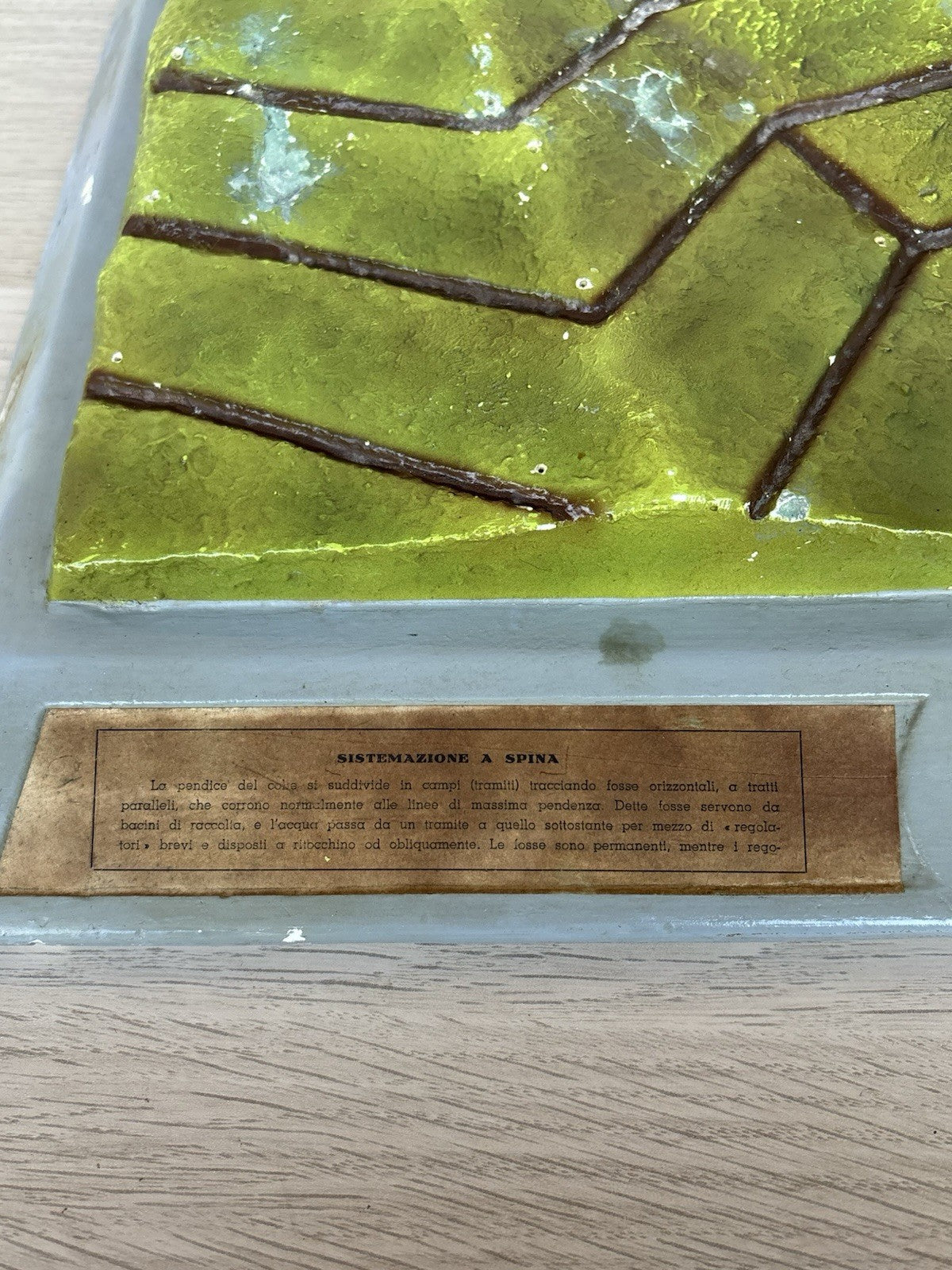 Modello Didattico Produzione Scientifica Paravia