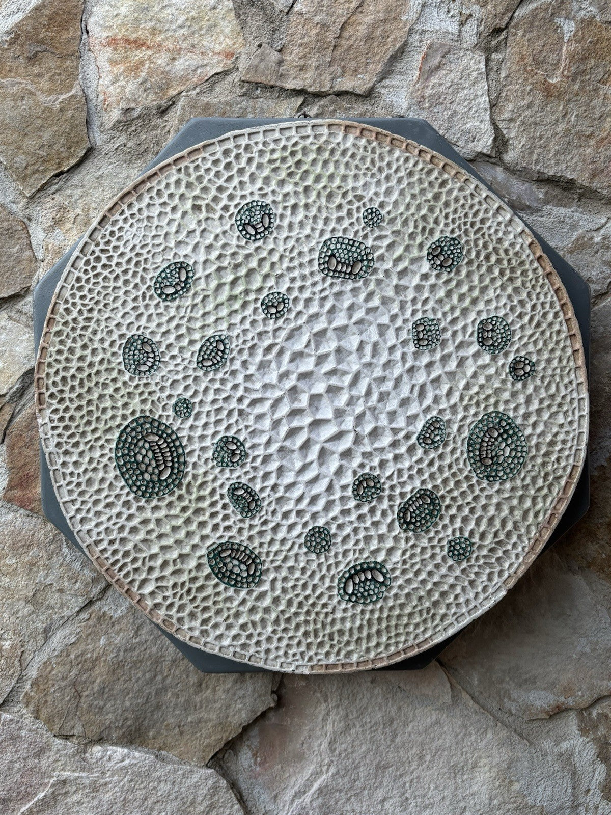 Modello Didattico/Botanico Vintage, Amedeo Fumeo Milano-