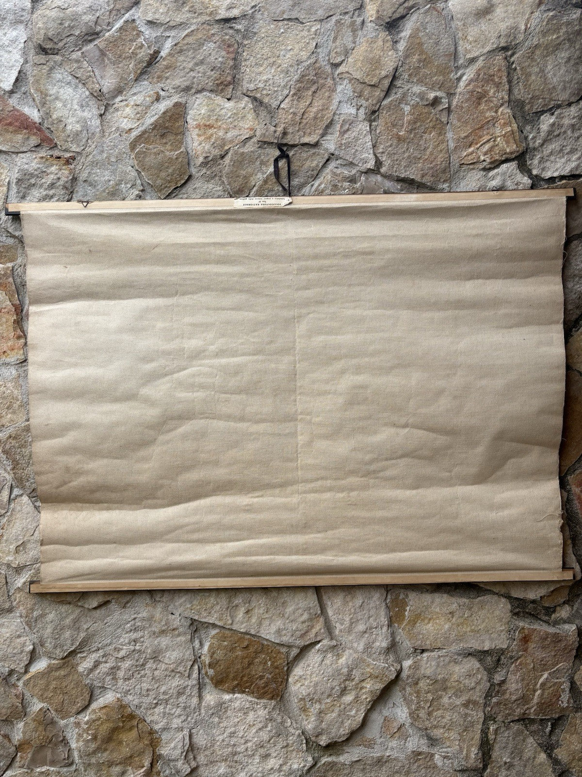 Tavola Parietale Vintage Paravia, Anatomia Gallina