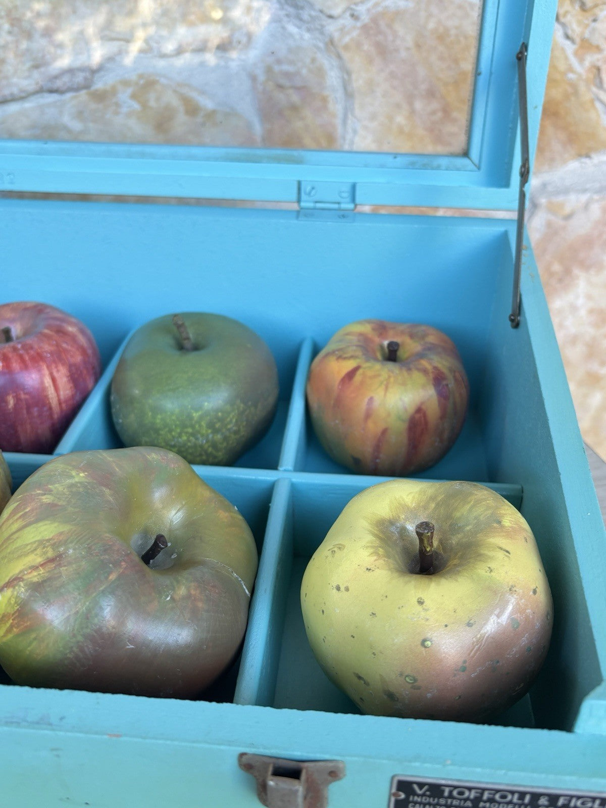 Modello Didattico- Principali Varietà Di Mele- Toffoli E Figli