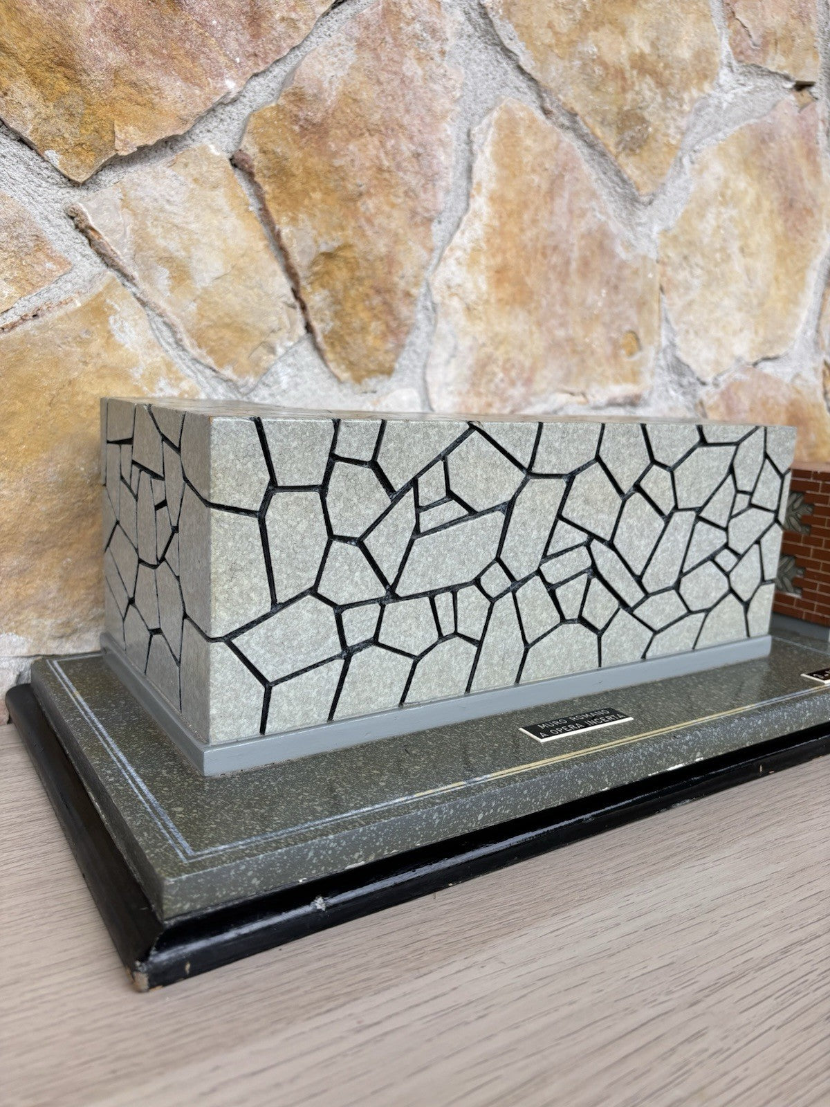 Modello Didattico E Scientifico Vintage Anni ‘50- Toffoli E Figli