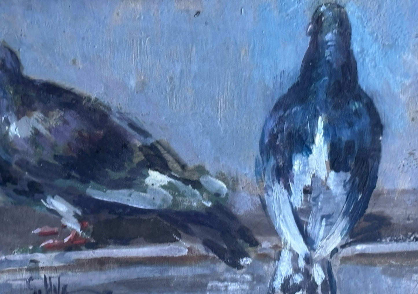 Quadro -Piccioni- Giuseppe Uva dipinto a olio