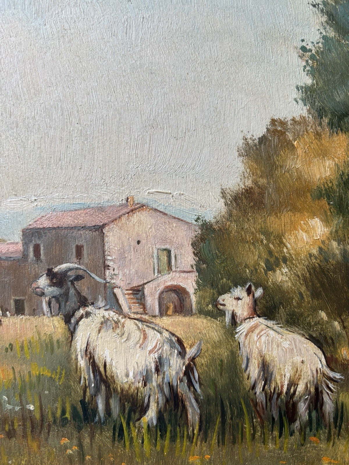 Quadro -Paesaggio Con Capre- Maria Izzo- dipinto a olio