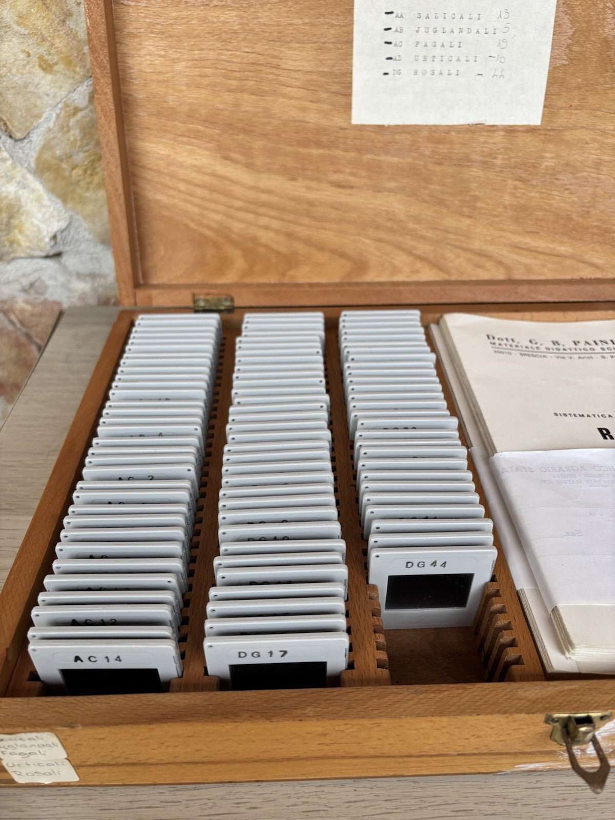 Proiettore Per Diapositive Vintage Made In Germany (con Diapositive Didattiche)