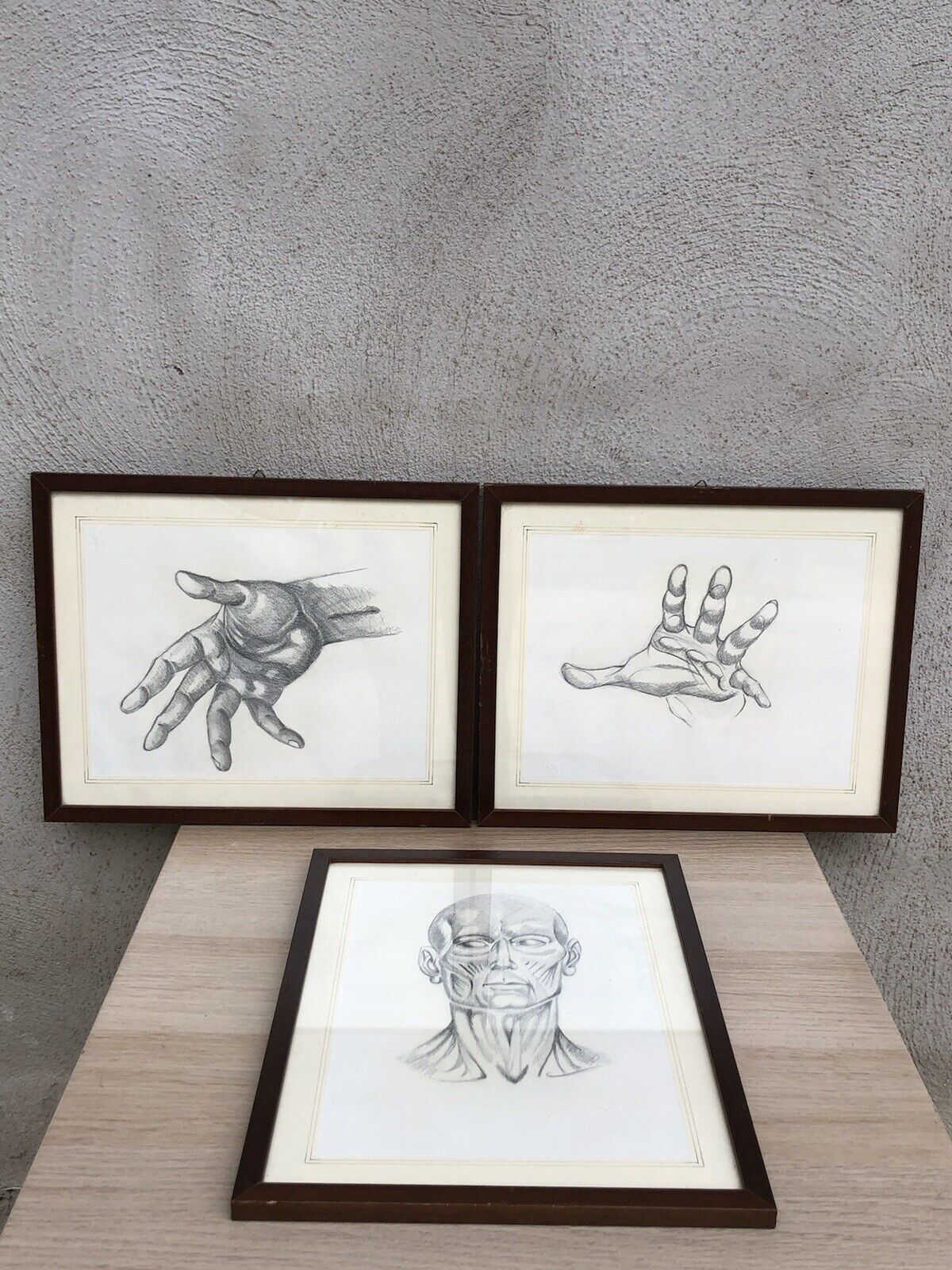 Quadri Vintage Con Disegni Anatomici