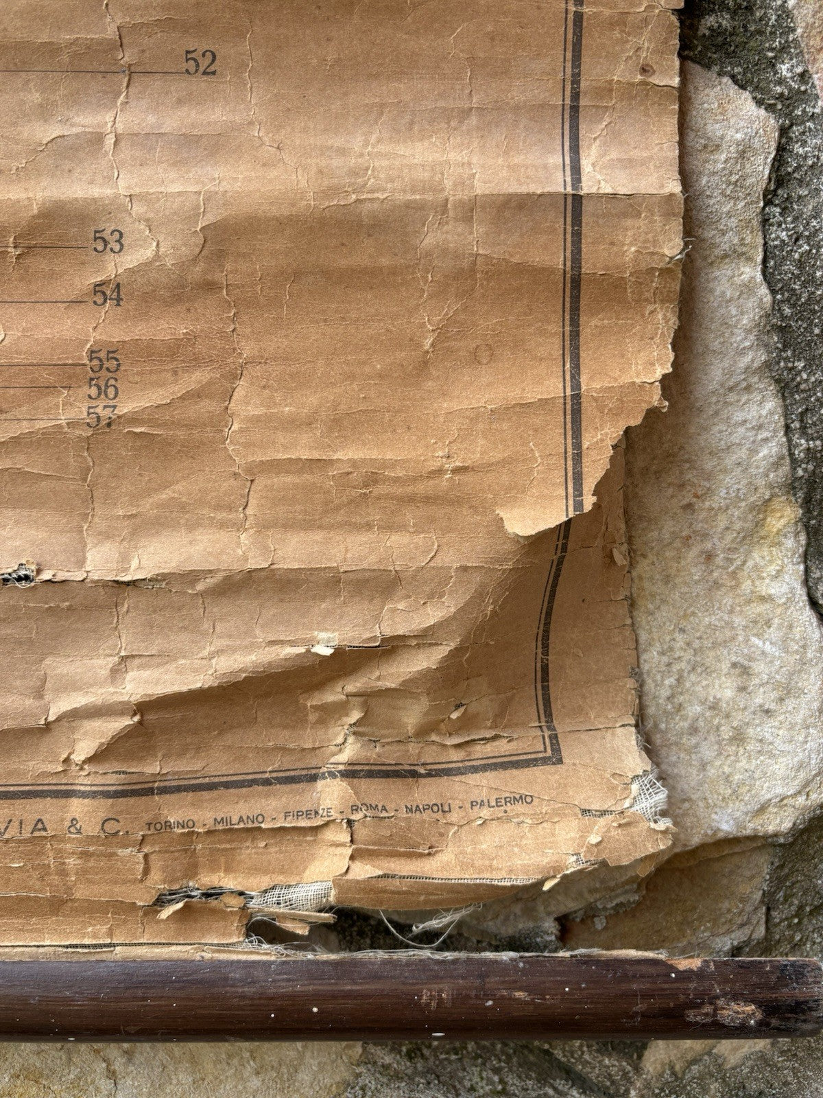 Tavola Parietale Vintage Paravia, La Vacca